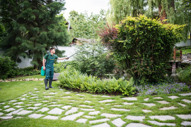 Best Residential Pest Control  in Holgate, OH
