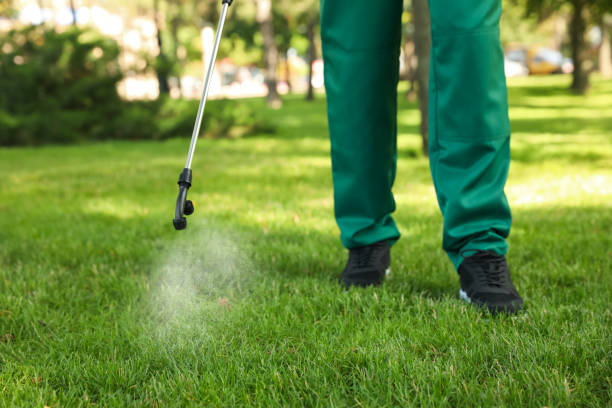 Best Best Pest Control Companies  in Holgate, OH
