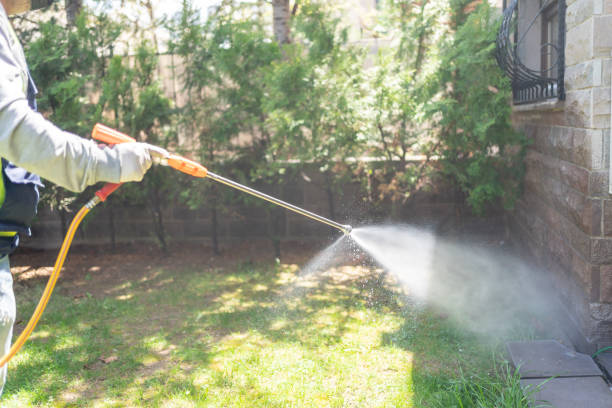 Trusted Holgate, OH Pest Control Experts