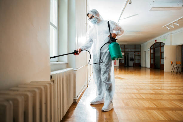 Best Insect Control  in Holgate, OH