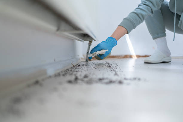 Best Bed Bug Extermination  in Holgate, OH